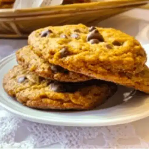 Bangor Pumpkin Chocolate Chip Cookies