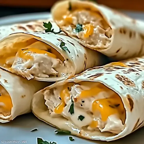 Cheesy Chicken Wrap